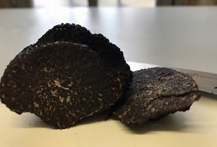 Truffe noire fraîche - Tuber Melanosporum, 100g